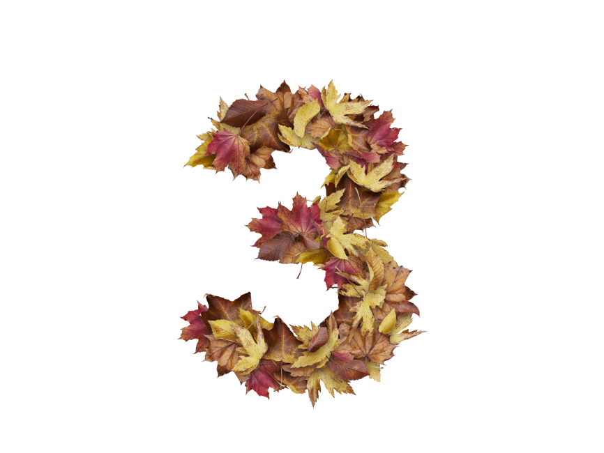 3 Number with Dry Leaves