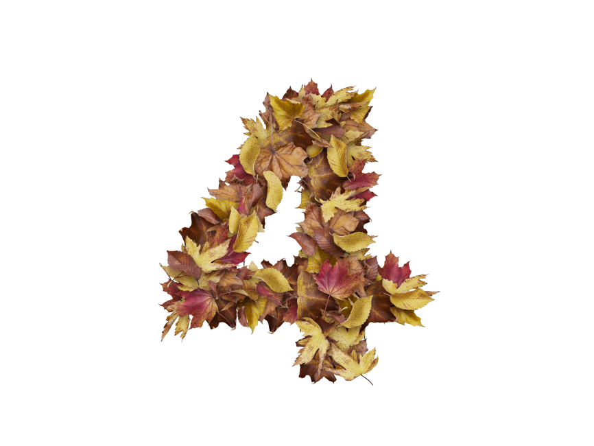 4 Number with Dry Leaves