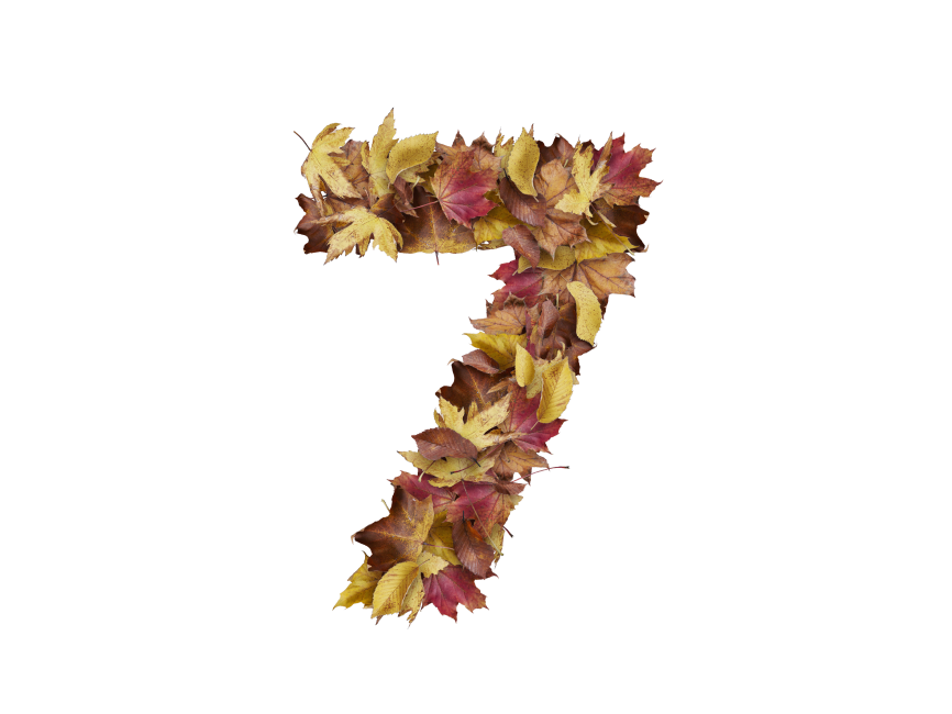 7 Number with Dry Leaves