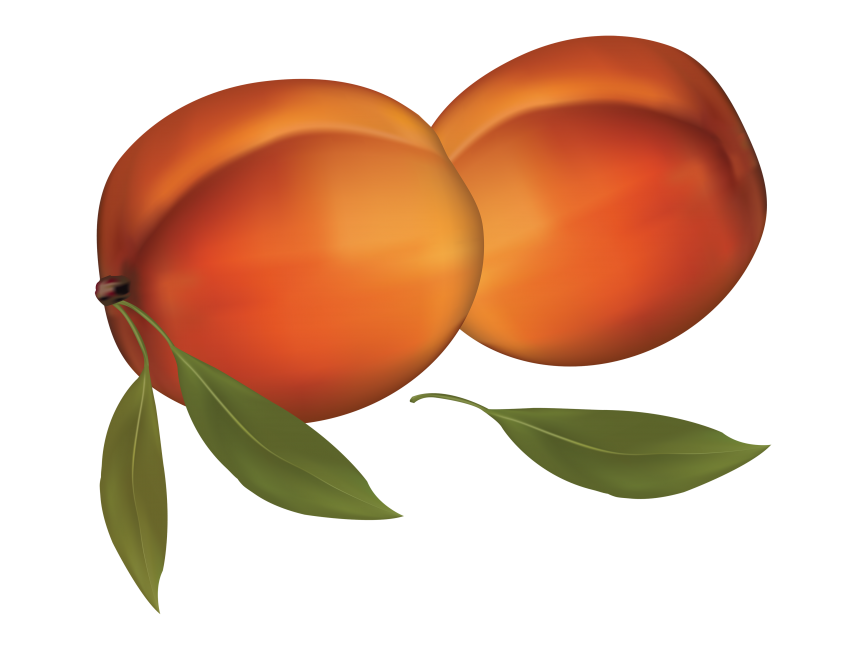Apricot Transparent Png Image
