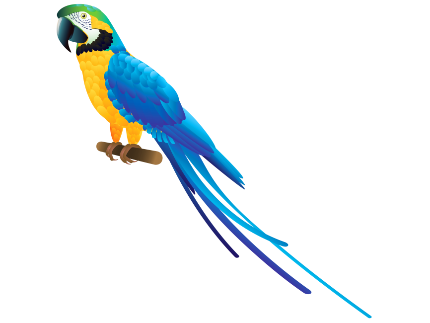 Blue Parrot