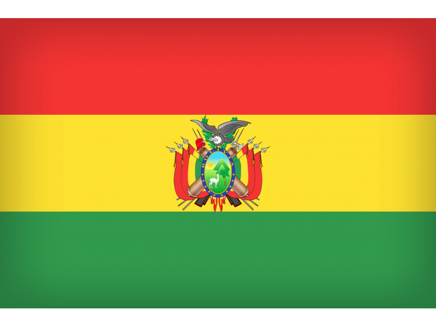 Bolivia Large Flag
