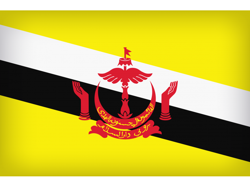 Brunei Large Flag