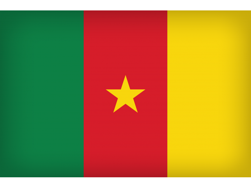 Cameroon Large Flag