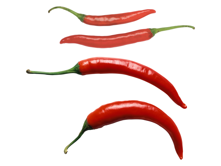 Chile Pepper