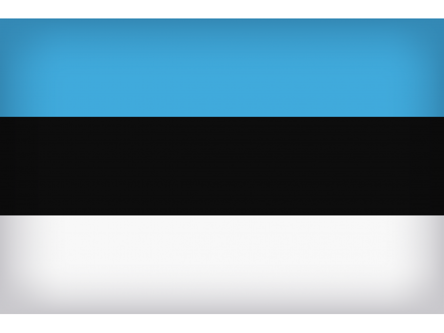 Estonia Large Flag