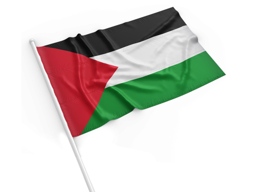 Fabric Wrinkled Palestine Flag
