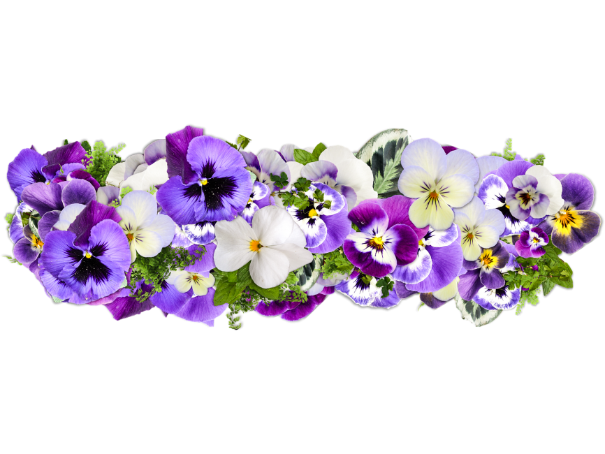 Flowers Transparent PNG Image - Freepngdesign.com