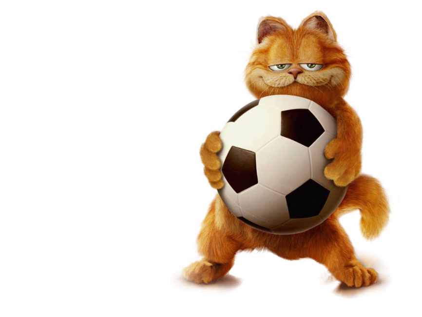 Garfield with Ball