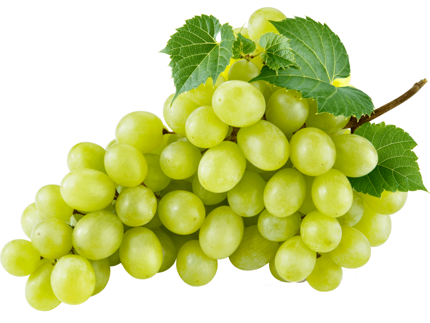 green grapes png