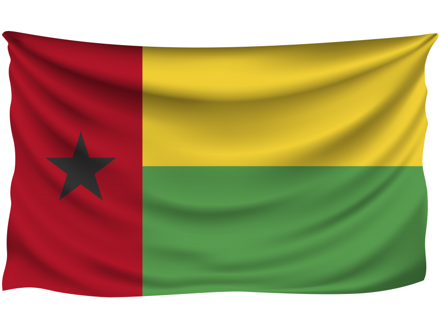 Guinea Bissau Wrinkled Flag