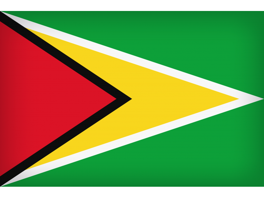 Guyana Large Flag