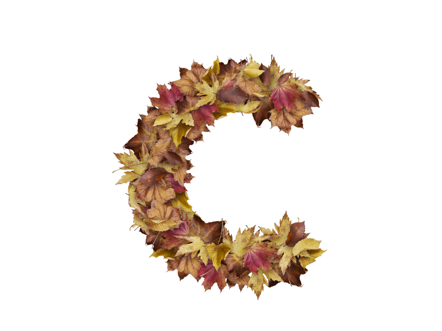 Letter C from Dry Leaves