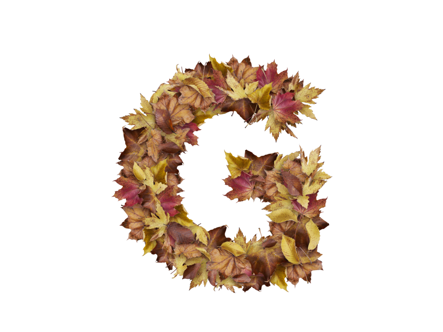 Letter G from Dry Leaves