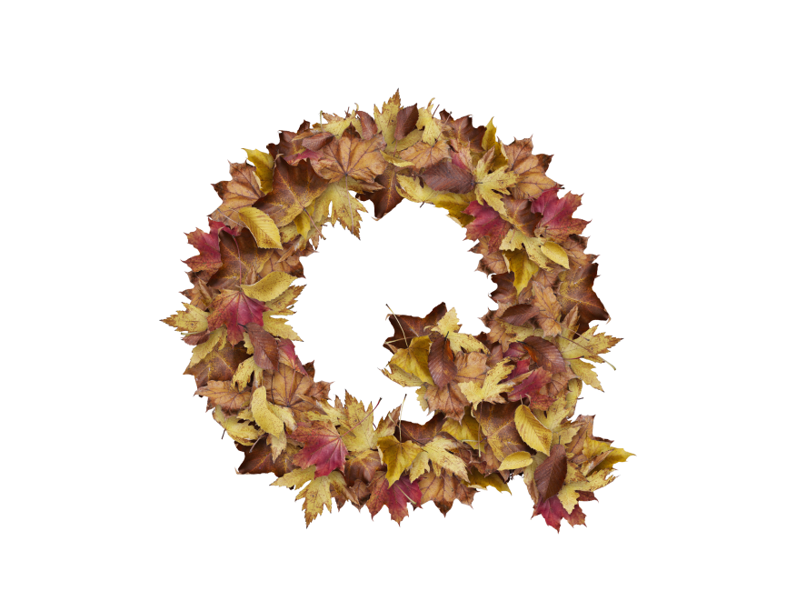 Letter Q from Dry Leaves