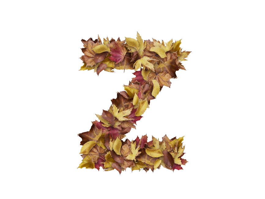 Letter Z from Dry Leaves