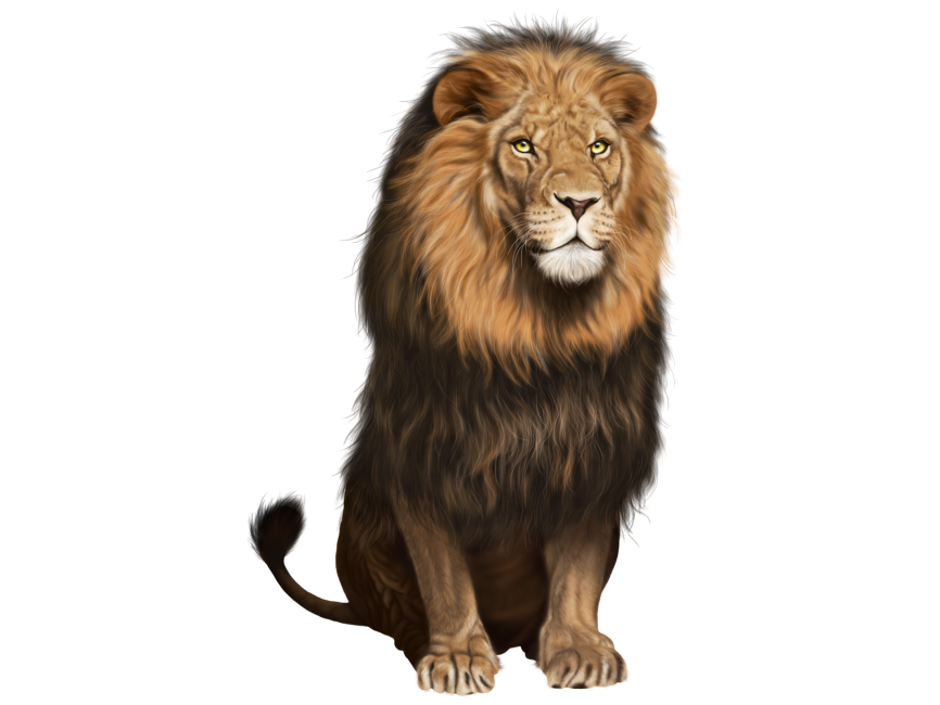 Lion PNG Transparent Image - Freepngdesign.com