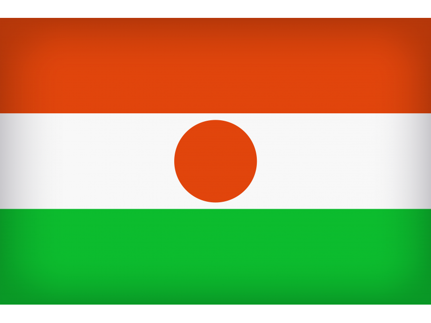 Niger Large Flag