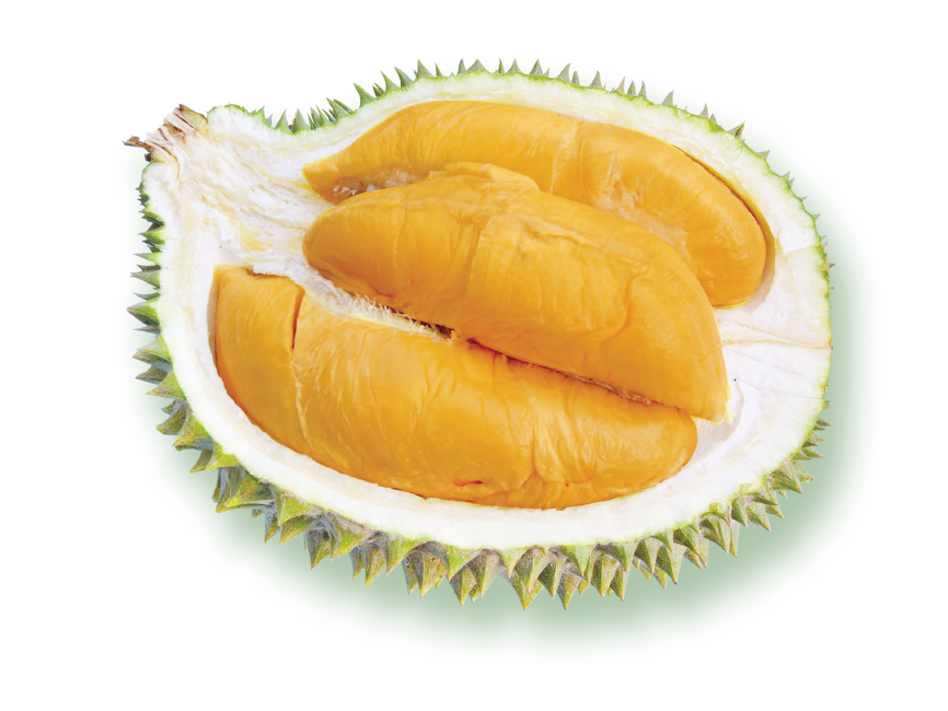 Ochee Durian