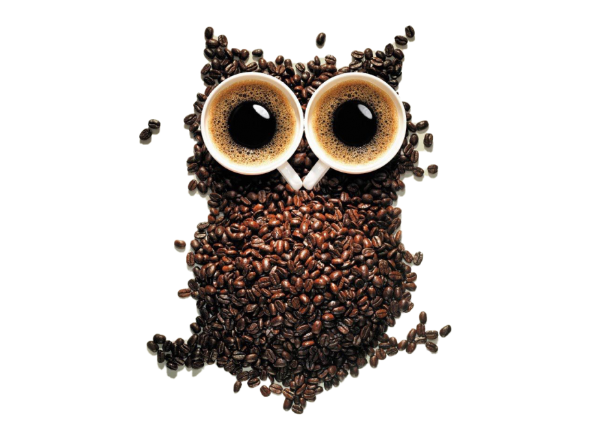 Owl from Coffee