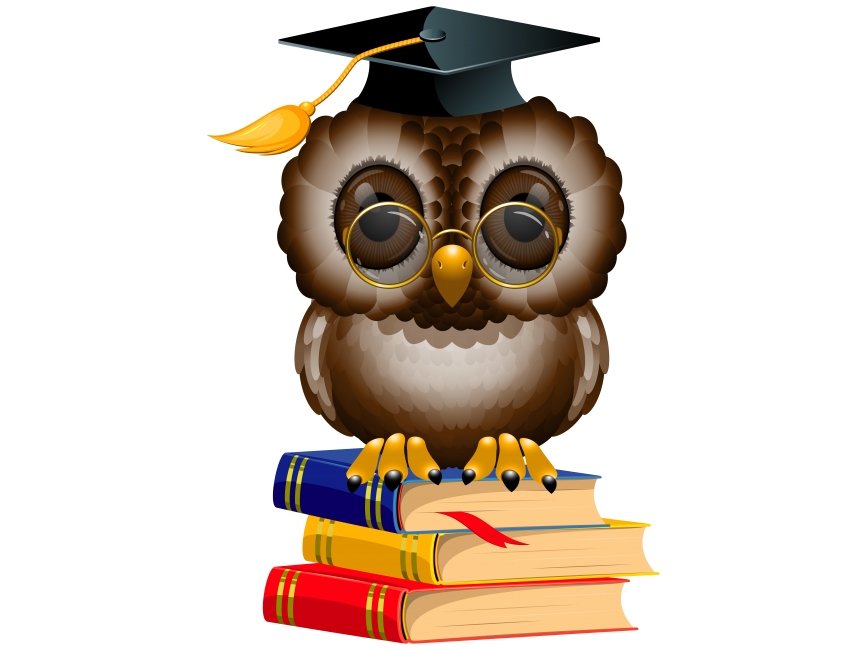 Owl with School Books and Cap