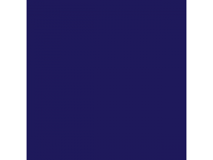 Bristol Myers Squibb   Logo
