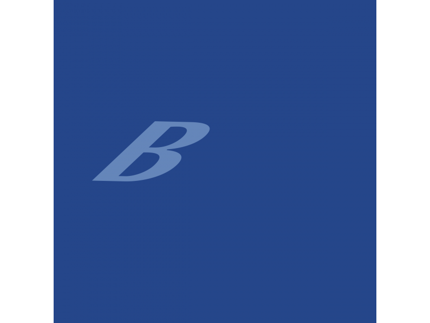 Broadbase Software   Logo