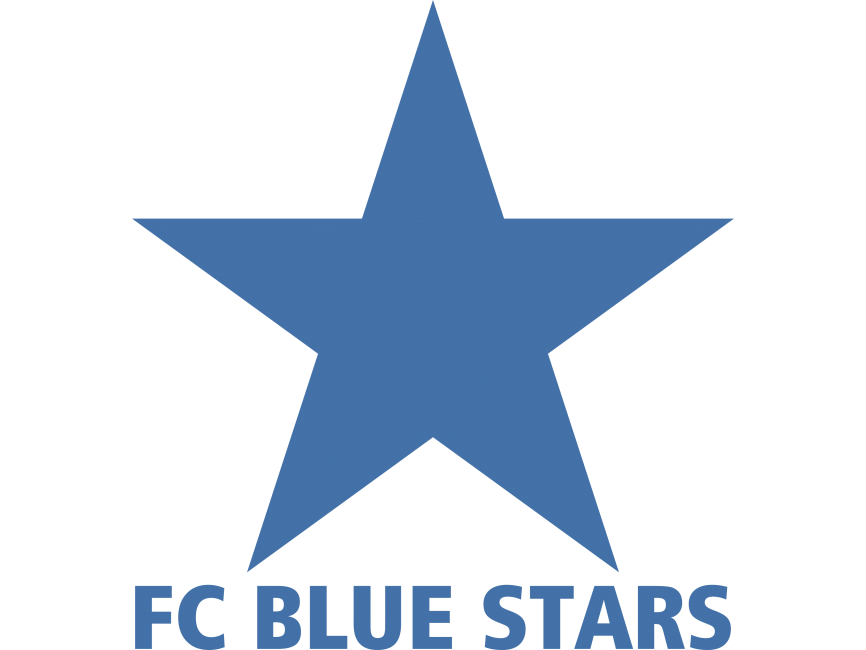 blue stars zurich Logo