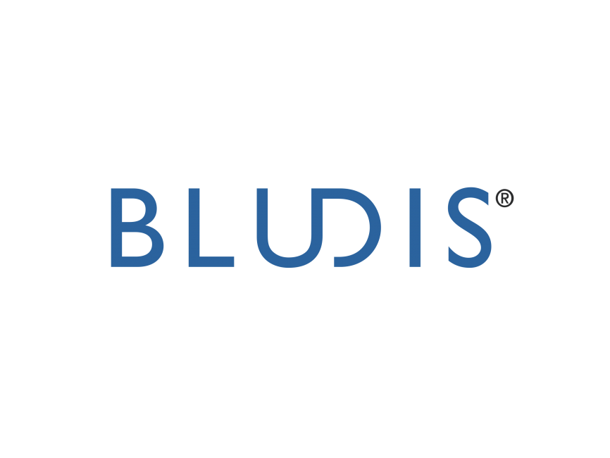 Bludis   Logo
