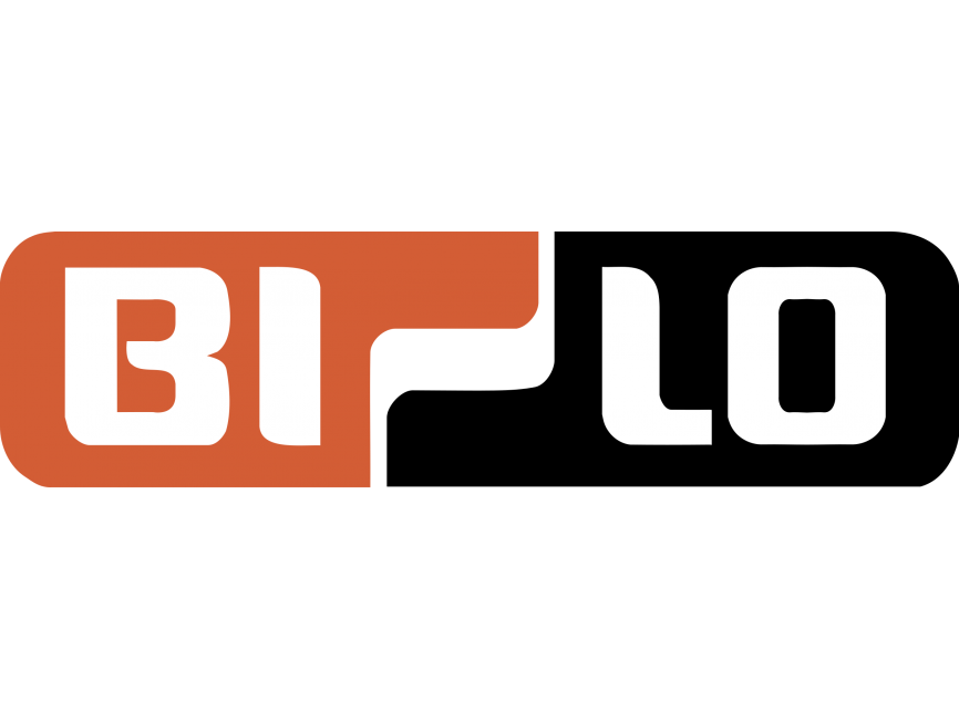 BI LO STORES 1 Logo