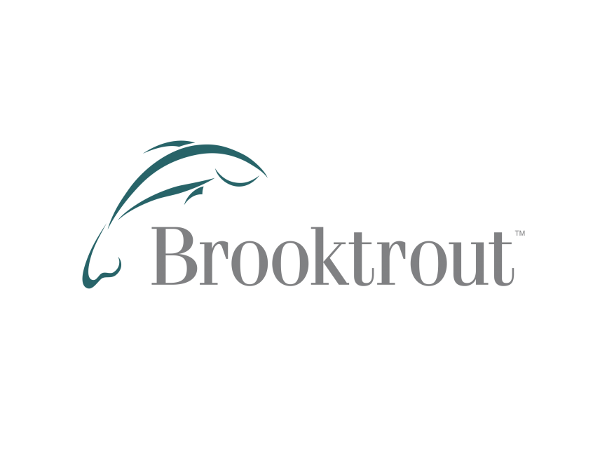 Brooktrout Technology   Logo