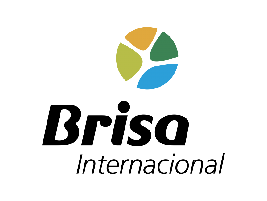 Brisa Internacional Logo