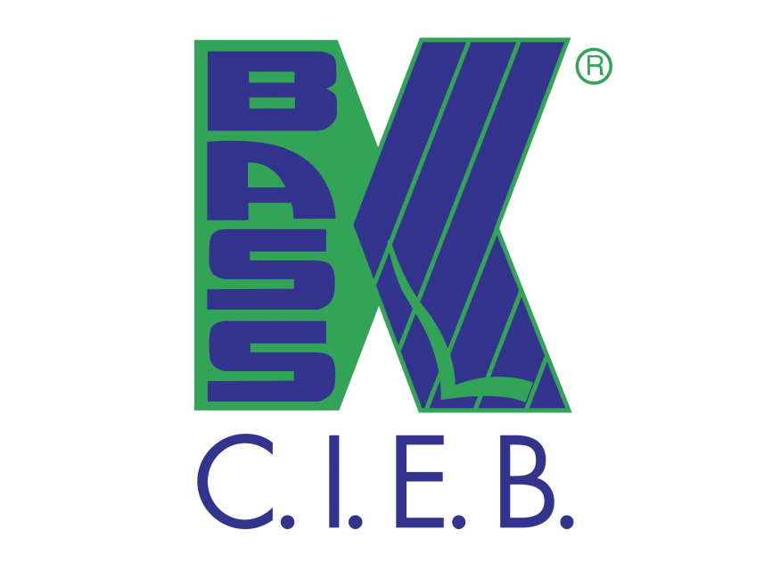 BASS CIEB   Logo