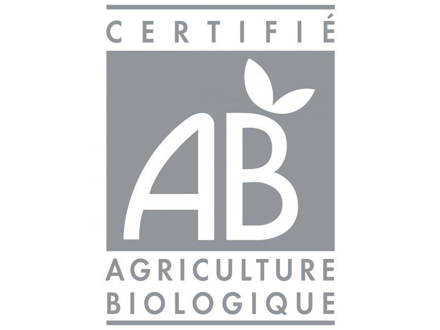 AB   Logo