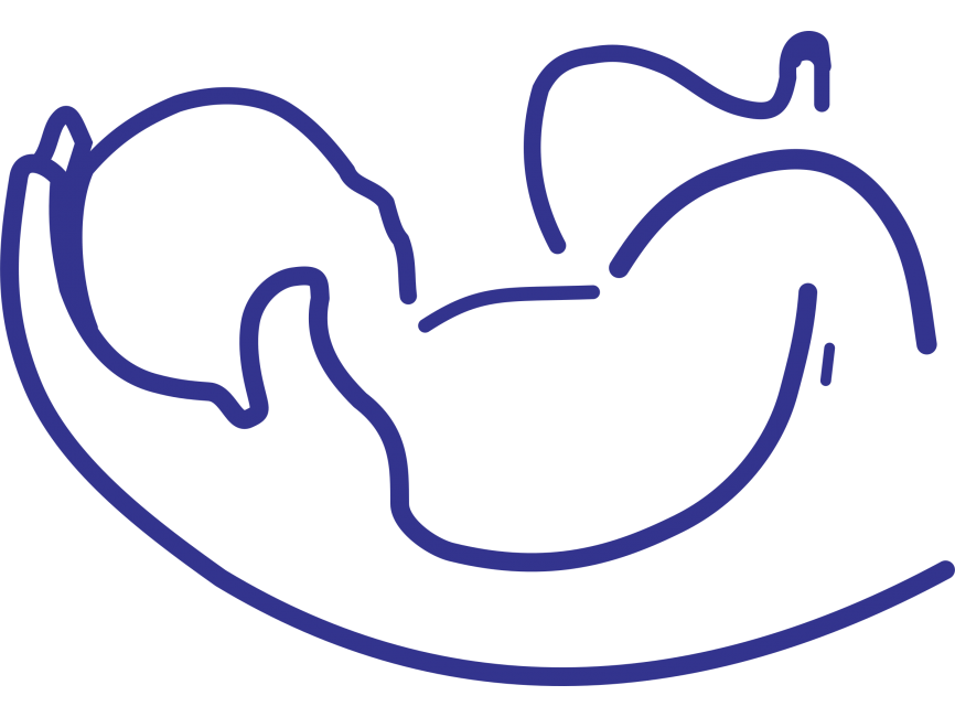BABY Logo