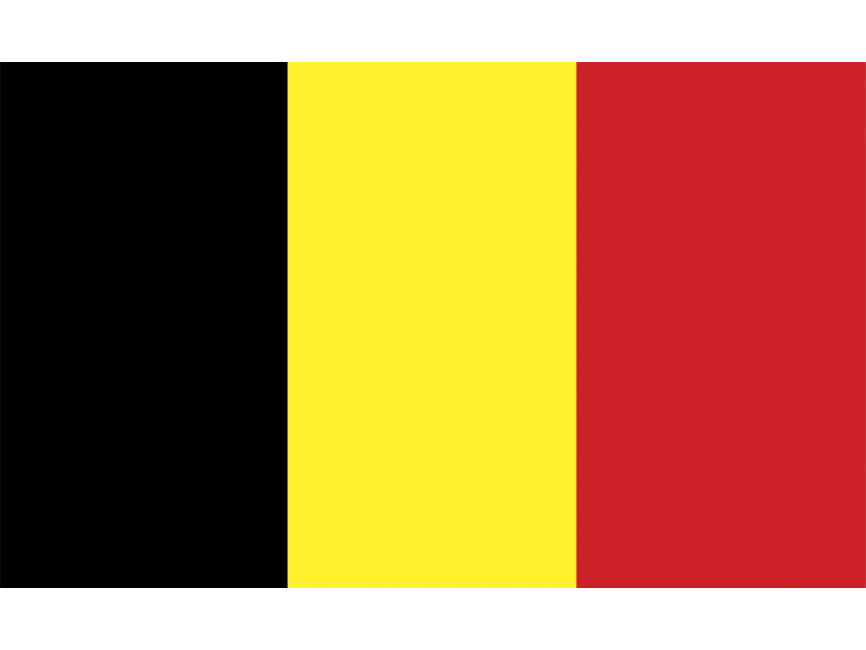 Belgium flag Logo