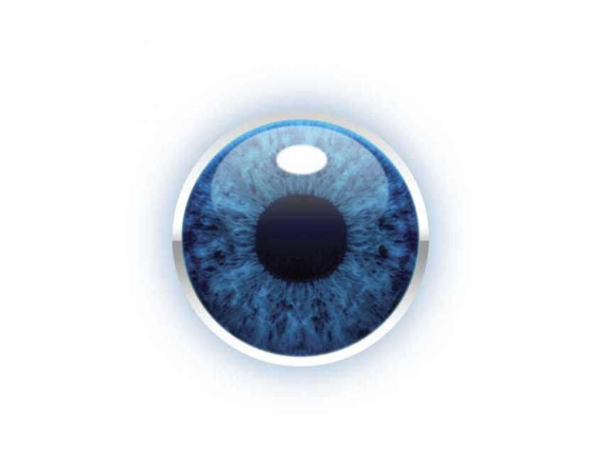 BC eye final copy Logo