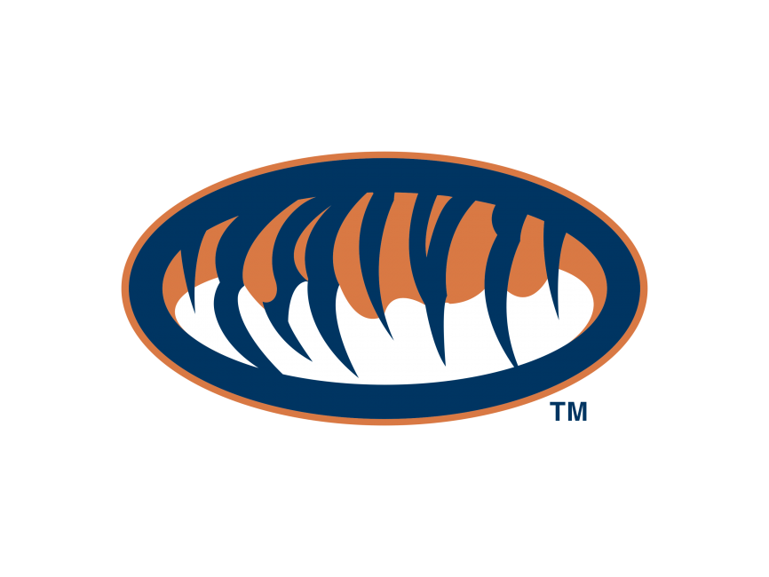 Auburn Tigers   Logo