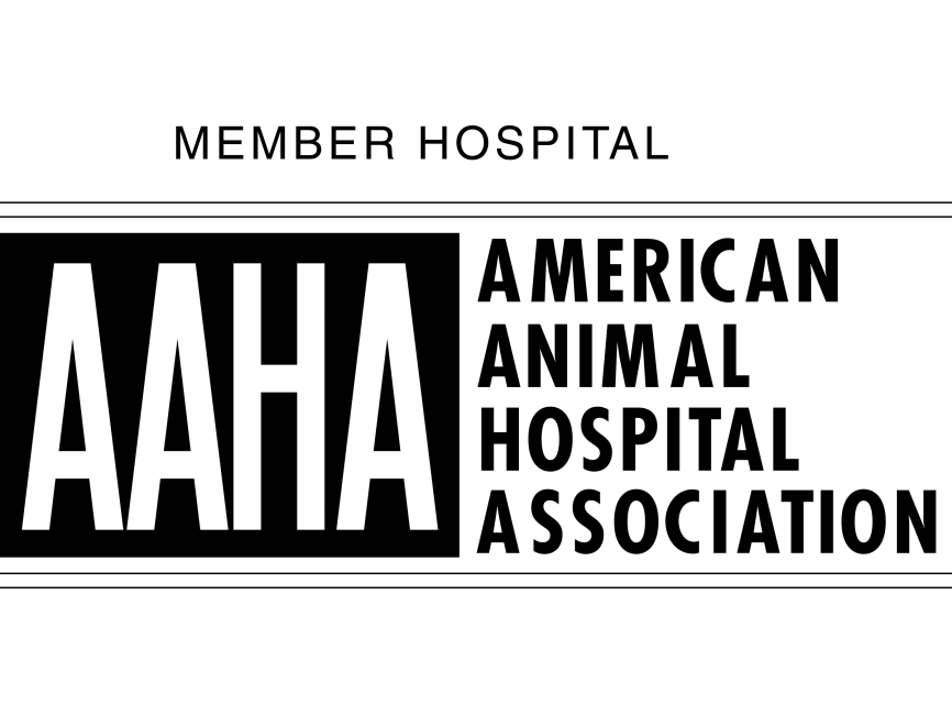 AAHA Logo PNG Transparent Logo