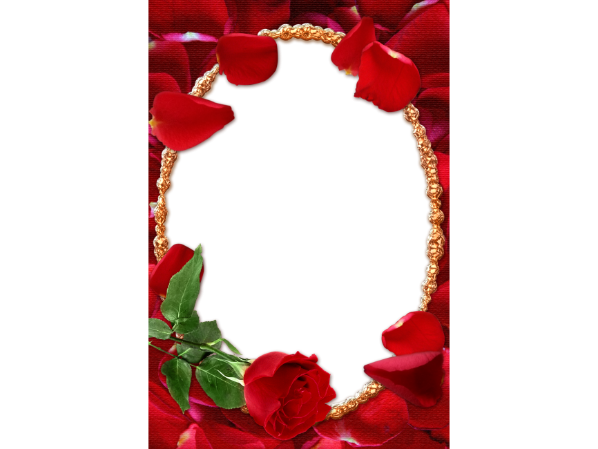 Red Rose Photo Frame