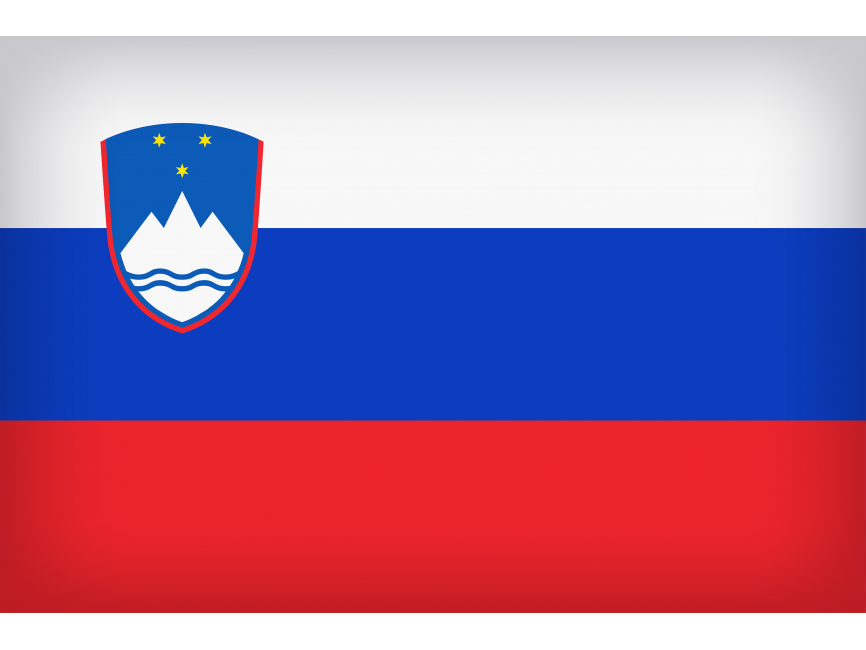 Slovenia Large Flag