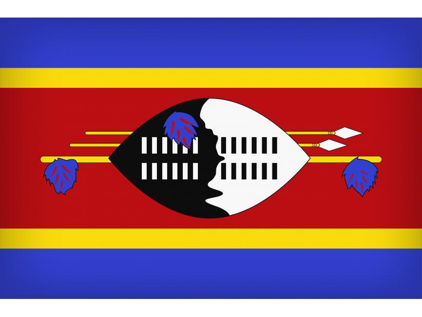 Swaziland Large Flag