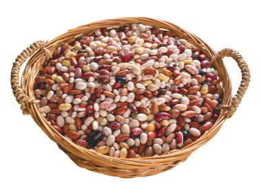 Beans in Basket