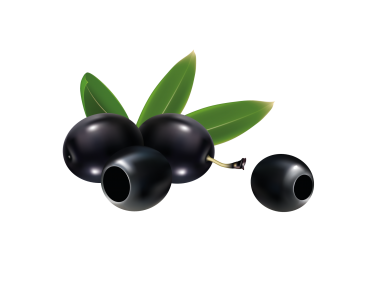 Black Olive