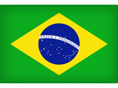 Brazil Large Flag