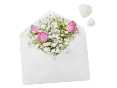 Envelope White Flower