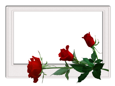 Frame with Red Rose