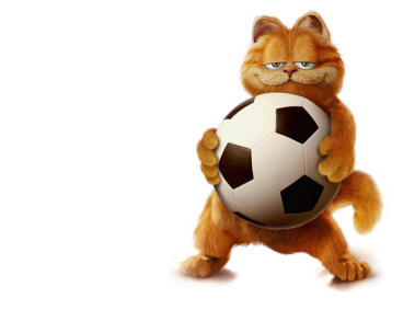 Garfield with Ball