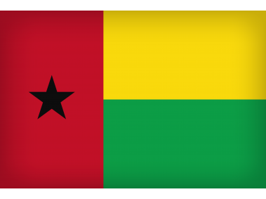 Guinea Bissau Large Flag