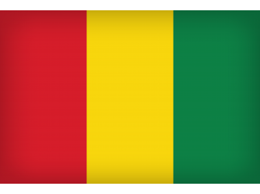 Guinea Large Flag